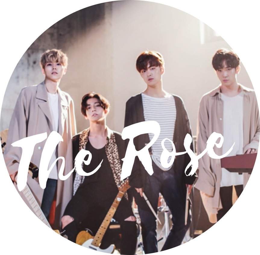 The Rose