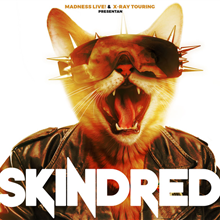Skindred
